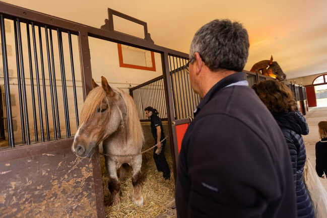 Haras National d'Hennebont
