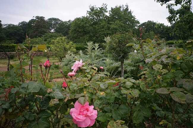 Jardins du Château de Kerambar'h-landaul-morbihan-bretagne-sud