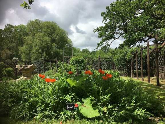 Jardins du Château de Kerambar'h-landaul-morbihan-bretagne-sud