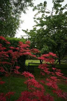 Jardins du Château de Kerambar'h-landaul-morbihan-bretagne-sud