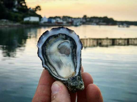 Perle de Quéhan  Saint-Philibert - Morbihan Bretagne Sud