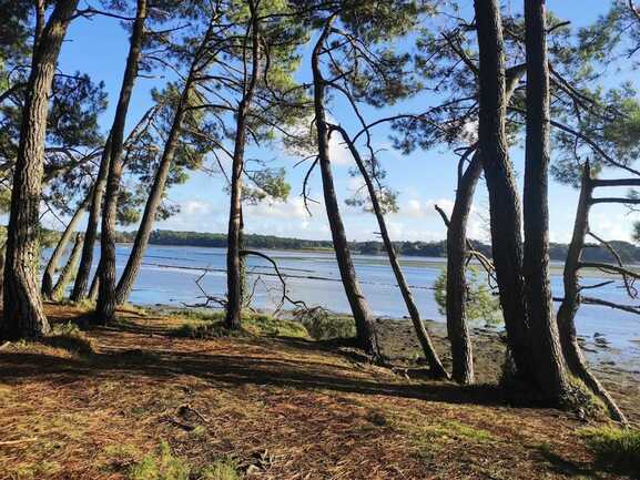 La Cabane de Cadoudal - Huîtres Damerose - LOCOAL MENDON - MORBIHAN  - Bretagne Sud