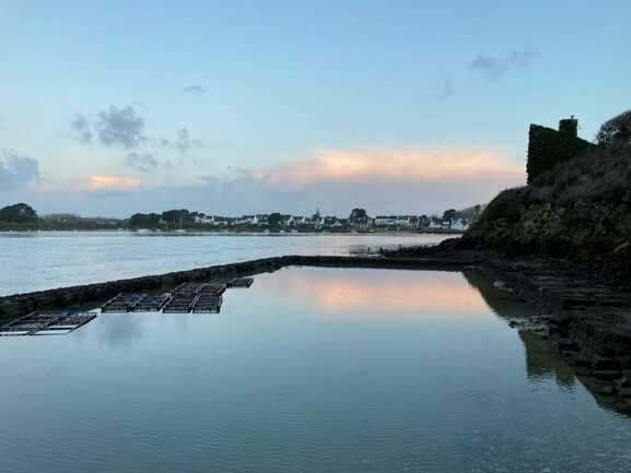 Belz- Larmor Ostrea - Vue sur les bassins