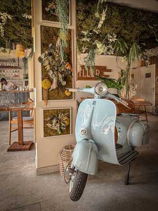 baiedequiberon_242342462648357_6416947281998797995_Carnac_Canopee5_1015