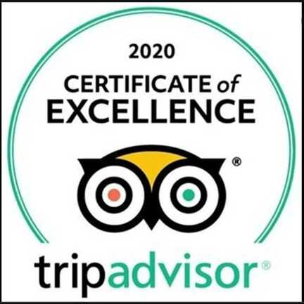 Tripadvisor 2020