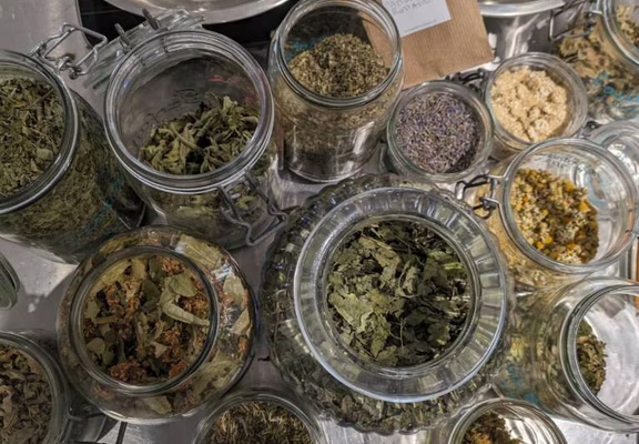 11-incroyables-chemins-ateliers-plantes-sauvages-medicinales-tisane