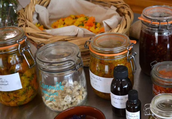 4-incroyables-chemins-ateliers-plantes-sauvages-medicinales-baume-teinture-mere-huile-maceration