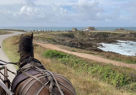 Attelage en Quiberon-Morbihan-Bretagne Sud