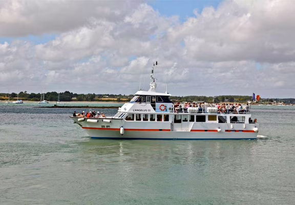 faune-ocean-locmariaquer-morbihan-bretagne-sud