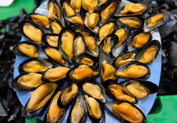 Breizhtronomie Food Tour