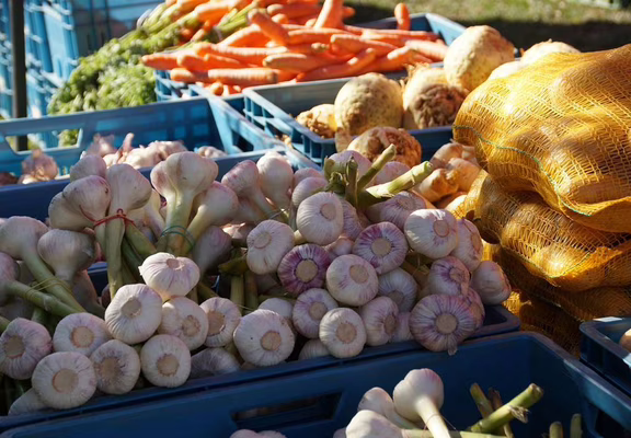 Marché hebdomadaire à Belz