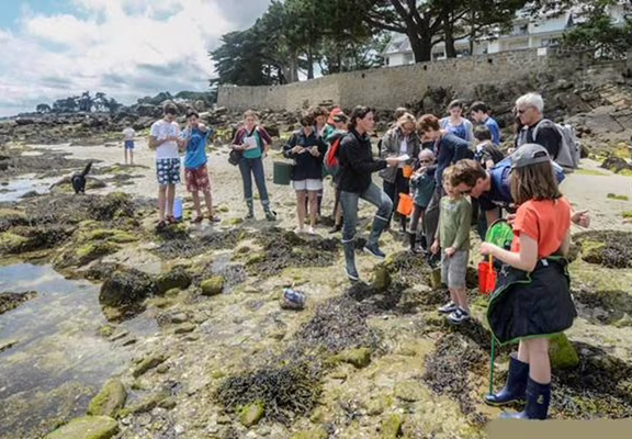Initiation à la pêche à pied