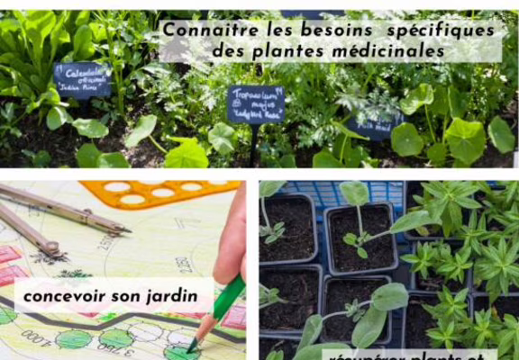 journee-jardin-medicinal-20261121 