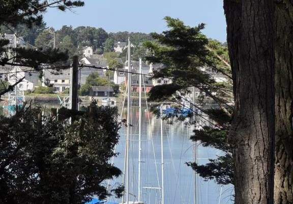 vue du jardin face a la trinité sur mer