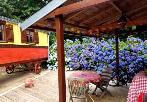 Terrasse semi-ombragée équipée d'une plancha.
