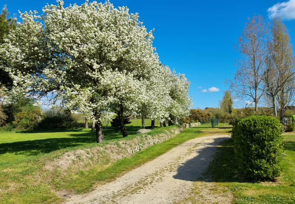 Locmariaquer_Camping de la Tour