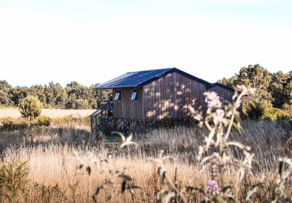 ecolodges nature