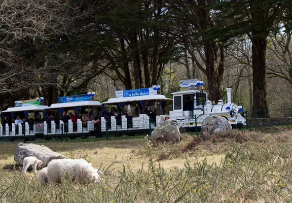 Petit-train-touristique-Carnac-Morbihan-Bretagne-Sud