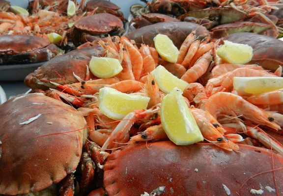 Aquaculture Jaouen - St-philibert -Morbihan Bretagne Sud