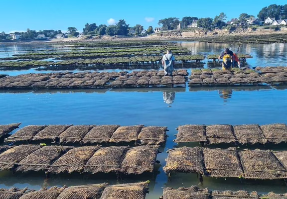 marée-trinité
