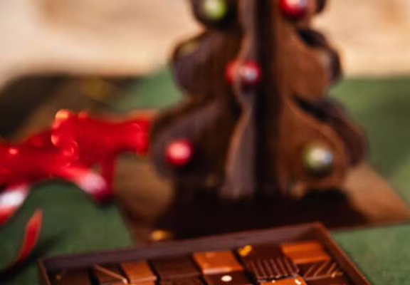 EspecedeGanache-Noel2025-5