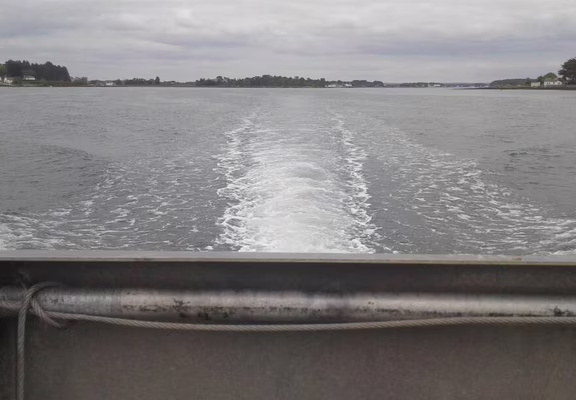 20170417_141937 (1)