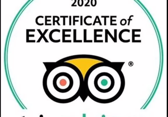 Tripadvisor 2020